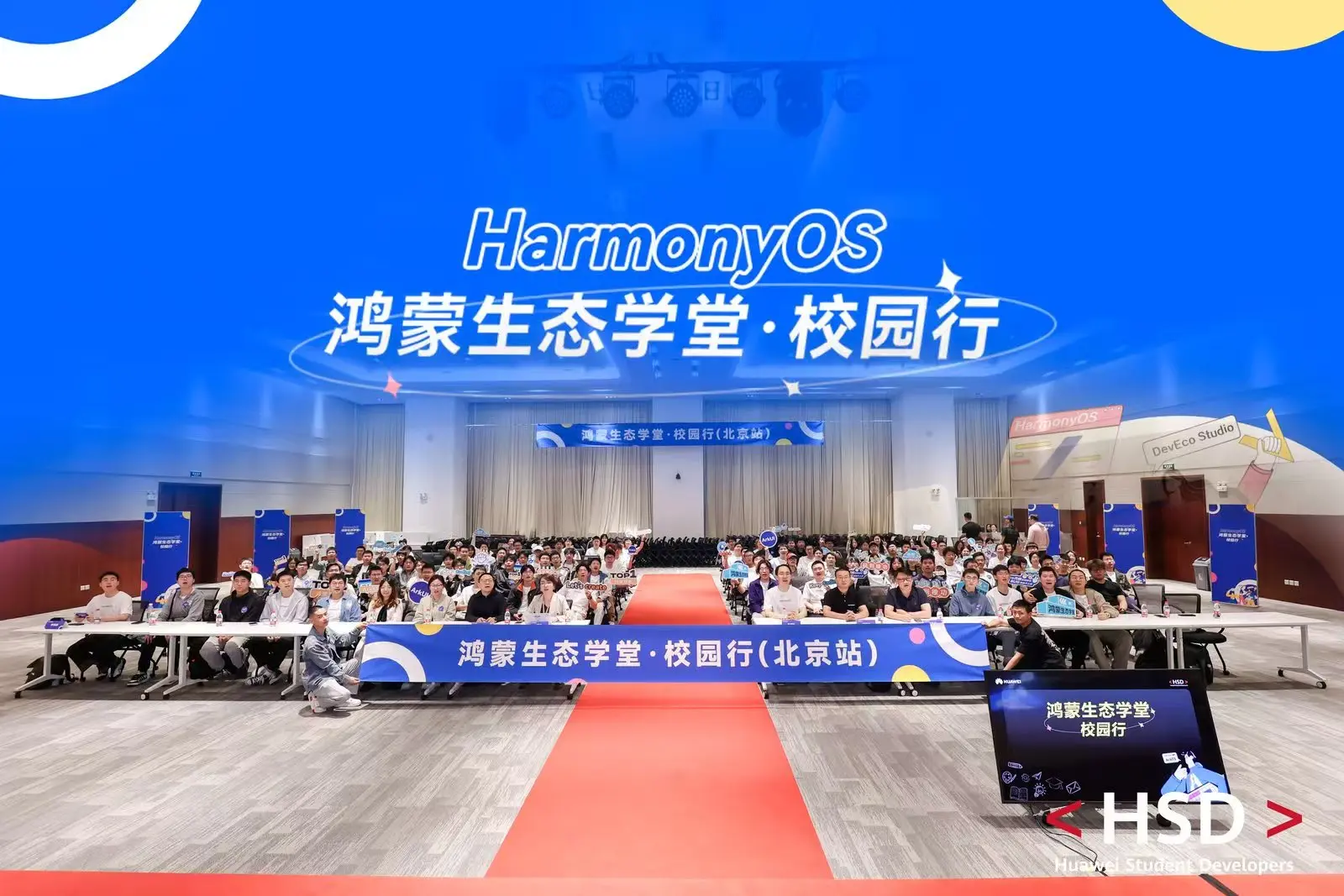 HSD活动7